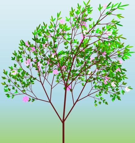 Creating Transitions and Timeline Animation in JavaFX ... Planting trees without leaves is often better because they can grow roots to reach moisture without this is as very simple answer to this question as most plants that are higher plants with chlorophyll.