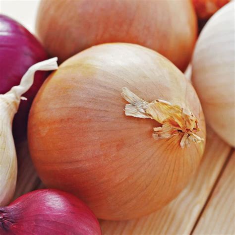 Granex Hybrid 33 Yellow Onion Sets Park Seed