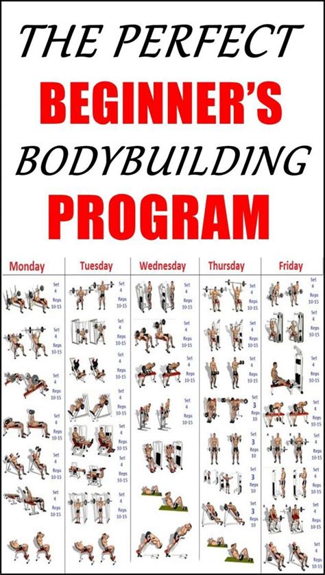 The Perfect Beginners Bodybuilding Program Lowerbackpain Bodybuilding Program Worko