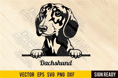 Peeking Dachshund DOG SVG Cut Ready (1099069) | Cut Files | Design Bundles
