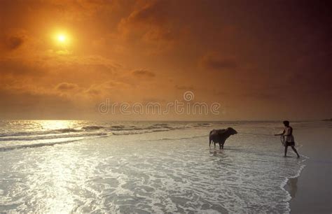 India Goa Landscape Beach Editorial Stock Image Image Of Sand 275451964