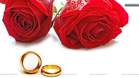 Wedding Ring Wallpaper Red Roses Wedding Ring Wallpapers