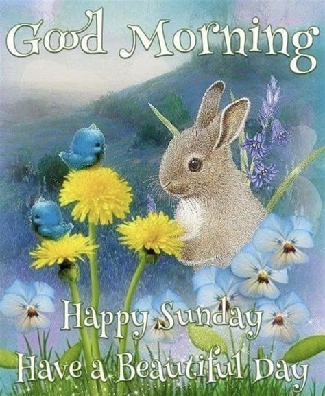 Bunny Good Morning Sunday Wishes Pictures Photos And Images For