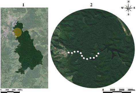 Map Of Parque Estadual Do Rio Doce Perd White Dots Download Scientific Diagram