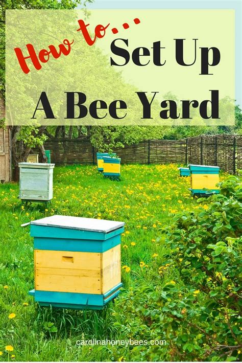 How To Set Up A Bee Yard Bee Keeping Backyard Bee Bee Garden