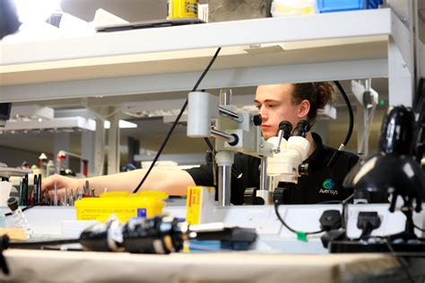 Become an Endoscopy Engineer |Jobs Available now at Avensys