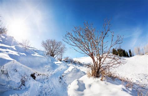 Beautiful Winter Mountain Scenery Stock Photo Image Of Cold Frost