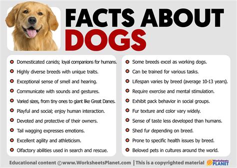 Facts About Dogs