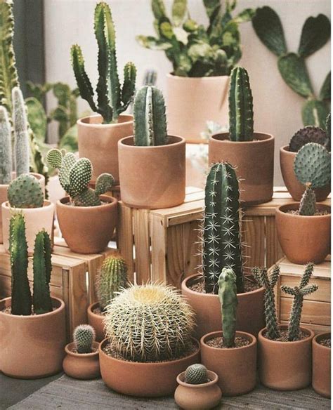 Hottest Free Garden Pots Terracotta Suggestions There Are Almost