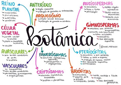 Mapas Mentais Biologia Mapas Mentais Bioquimica Biologia Kulturaupice