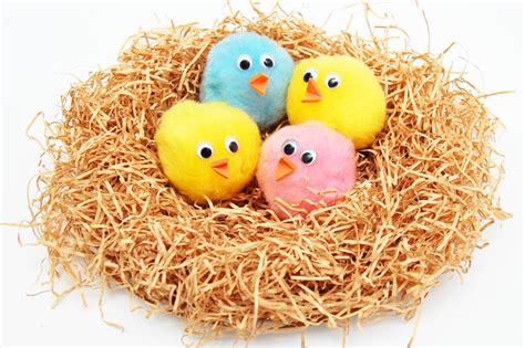 Baby Birds In A Nest Kids Crafts Fun Craft Ideas