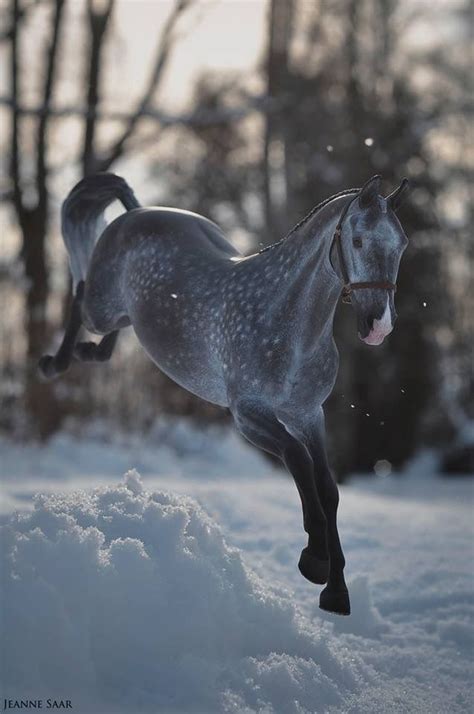 ♞pinterest Limitlessskyy♘ Horse Inspiration Pretty Horses Horse