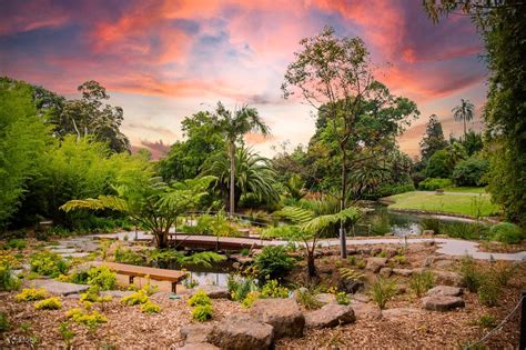 Melbourne Royal Botanic Gardens Entry And Free Guided Walking Tour
