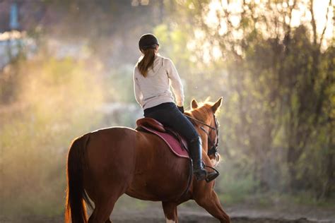 What Skills Do You Need For Horse Riding Equestrian Space