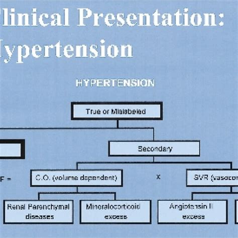 Organization For The Clinical Presentation Of Hypertension Download