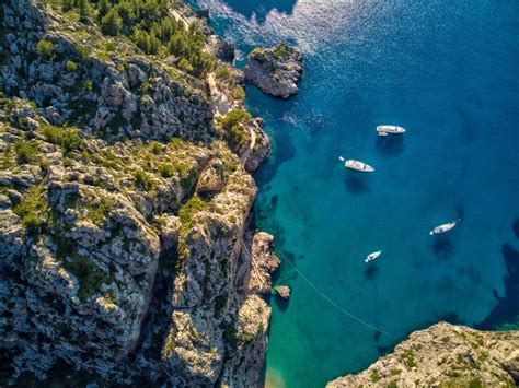 10 Surprising Facts About Majorca Loveholidays