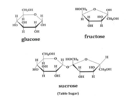 Glucose Versus Fructose Five Things To Know Mylifeyoga