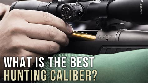 The Best Deer Hunting Caliberis There One Youtube