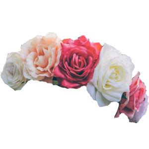 Flower Crown Images PNG Transparent Background, Free Download #42603