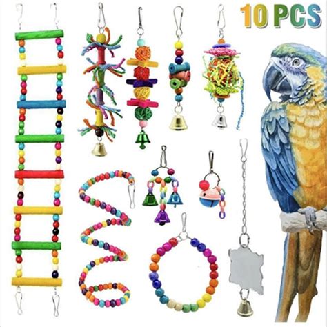 Parrot Toys Clip Art Library