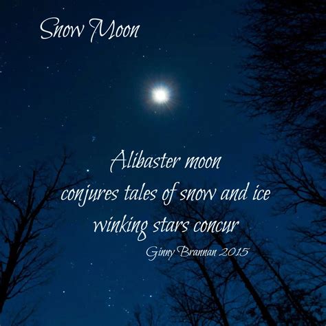 Moon Poems