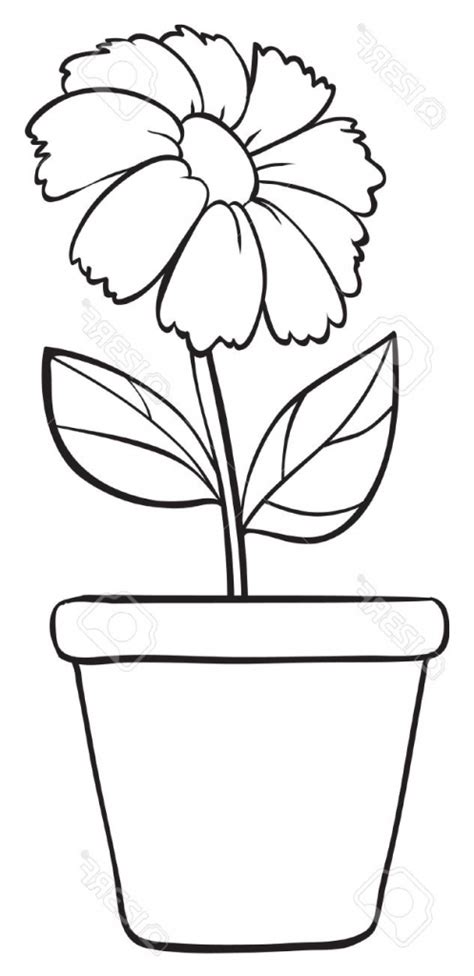 Flower Vase For Drawing Simple Clip Art Library