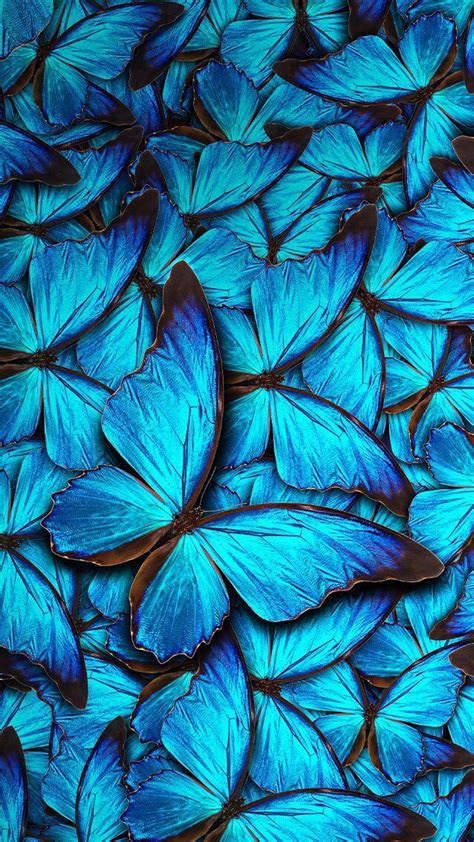 Iphone 8 Wallpaper Blue Butterfly 2021 3d Iphone Wallpaper