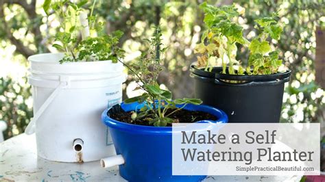 How To Make A Self Watering Planter Youtube