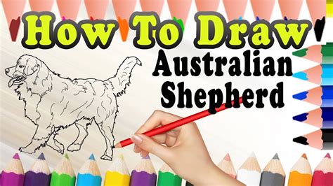 Https://tommynaija.com/draw/how To Draw A Australian Shepherd Step By Step Easy