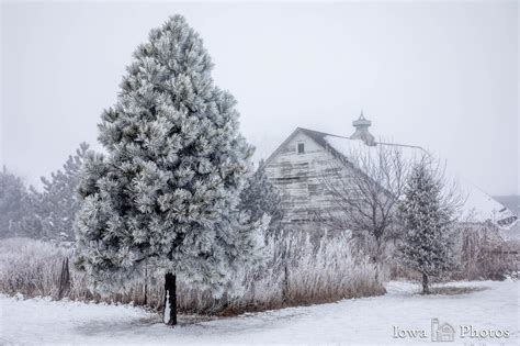 White Barn Hoarfrost Winter Iowa Photos