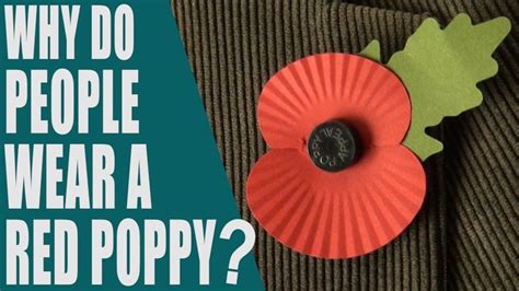 Why Do People Wear A Red Poppy What Is Poppy Day Rememberance Day En Red Poppies