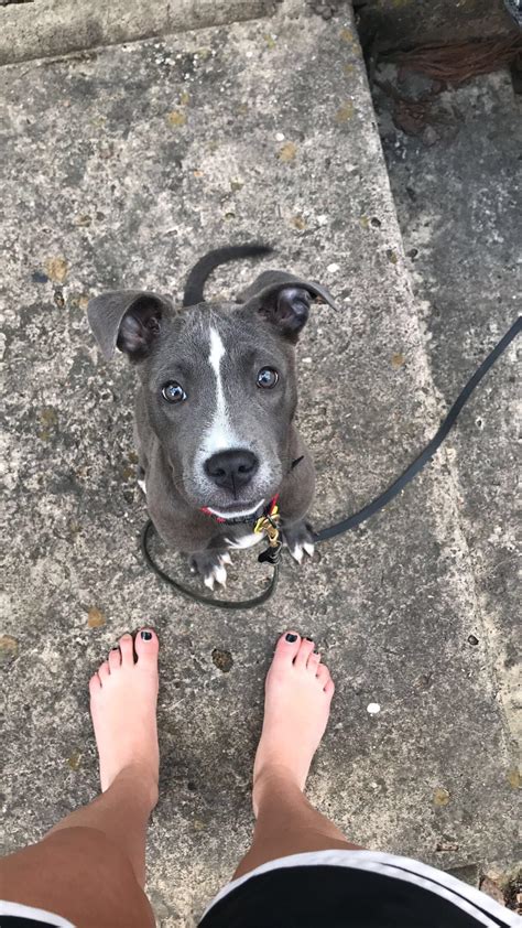 A fictional object that a person may refer to after witnessing something extremely unpleasant. Reddit meet my girl Tuesday : Eyebleach