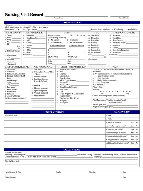 Nursing Visit Record Form Fill Out And Sign Online Dochub