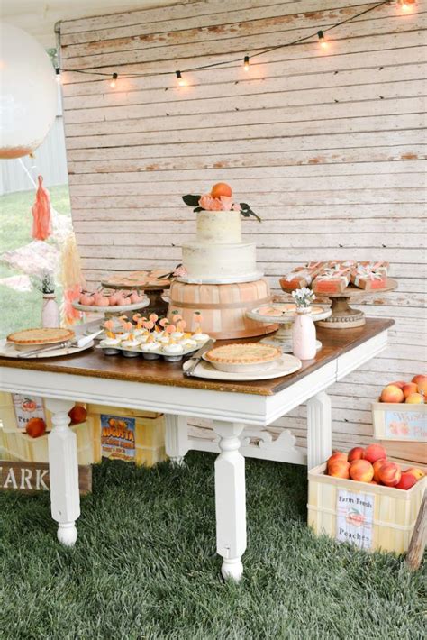 Summer catering summer picnic summer decorations summer lighting summer games & activities water activities & inflatables. Peaches and Cream 1st Birthday Party | Kara's Party Ideas ...