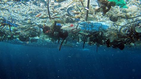 It's dumped, pumped, spilled, leaked and even washed out with our laundry. Plastic ocean pollution - what can we do? | Inbrief | e ...