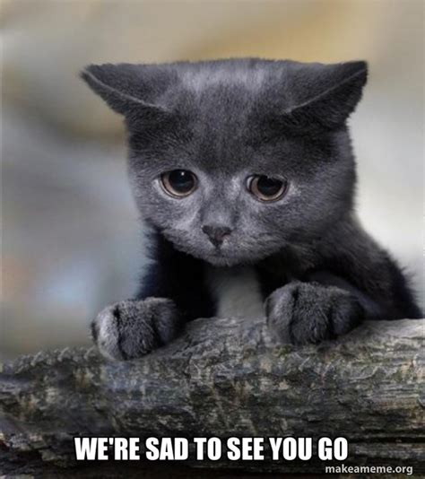 Were Sad To See You Go Confession Cat Make A Meme