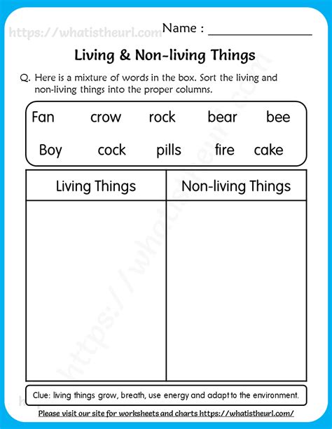 30 Living And Nonliving Things Worksheets Coo Worksheets