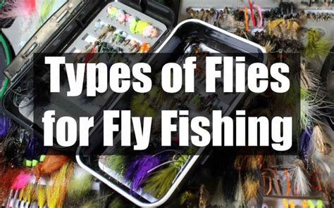 What Are The Different Types Of Flies In Fly Fishing 12 Proven Flies