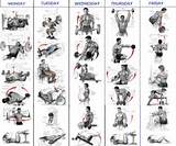 Images of Workout Routine Bodybuilding
