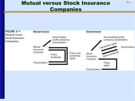 Insurance stocks update within the insurance sector, the top gainer was icici prudential life insurance (up 0.9%). PPT - Mutual versus Stock Insurance Companies PowerPoint ...