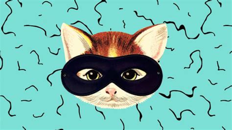 the real life ‘cat burglar caught stealing neighbours underwear sure grazia