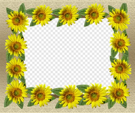 Gambar mewarnai bunga matahari sungguh menarik untuk diwarnai selain bentuknya yang indah warnanya pun sungguh cantik. Gambar Bunga Matahari Hitam Putih Png - Gambar Ngetrend ...