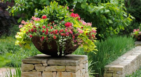 Fall Container Gardening Guide Conscious Living Tv