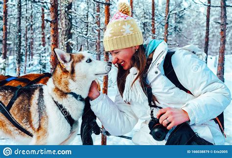 Girl And Husky Dog In Sled In Finland In Lapland Reflex Stock Image