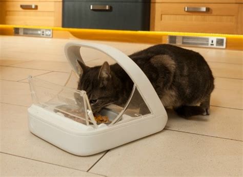 Get a homeagain microchip for pets & join our membership program that enhances a pet microchip with safety & wellness benefits. SureFeed Microchip Pet Feeder Solves Food Problems in ...