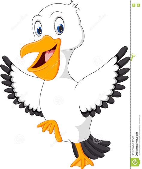 Cute Pelican Cartoon Stock Vector Illustration Of Spring 75048258
