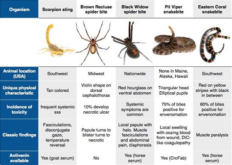 Pin By Heather Demassa On Rosh Reviews All Spider Bites Medical