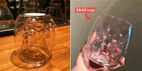 The merchandise has been making the news for causing chaos among customers who fought. Starbucks Cat Paw Cup Sold In China Is Pawfect For Your ...