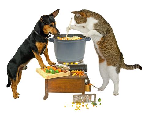 Our mission is to satisfy every need of every pet and pet owner, every time. Cooking for Your Pet - Friendship Hospital for Animals