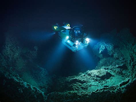8 Of The Coolest Inhabitants Of The Mariana Trench